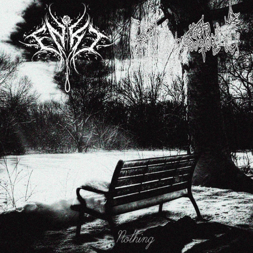 Forest Of Depressed Souls : Nothing